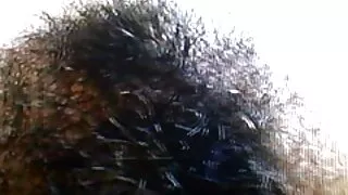 Rusijos Mergina Dideli Papai fucks Vaikinas Gaidys